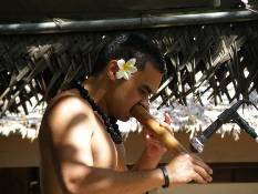 03_Hawaii_2 243.jpg (49282 bytes)